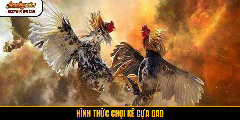 Hình thức chọi kê cựa dao