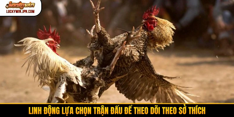 Linh động lựa chọn trận đấu để theo dõi theo sở thích