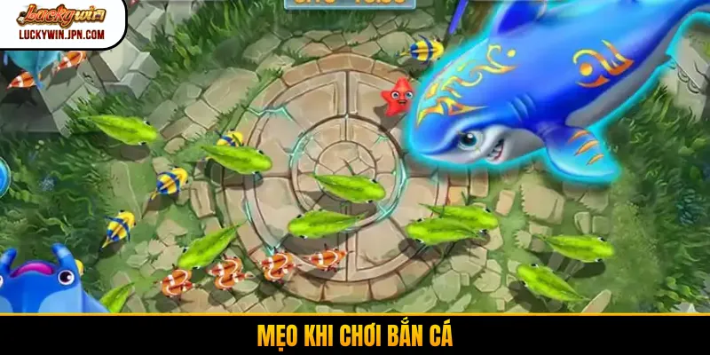 Mẹo khi chơi bắn cá