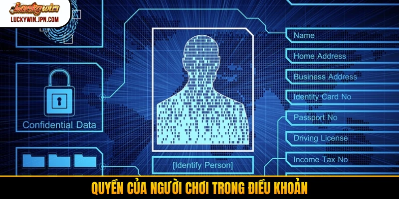 Quyền của người chơi trong điều khoản