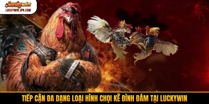Tiếp cận đa dạng loại hình chọi kê đình đám tại Luckywin