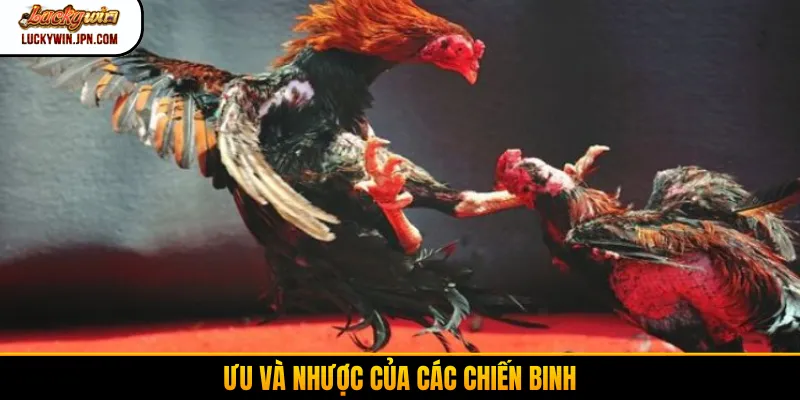 Ưu và nhược của các chiến binh